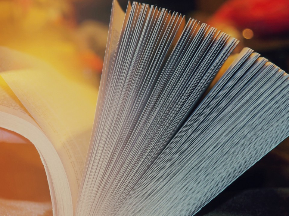 Há muitas regras que tratam sobre a relação entre alunos, alunas e instituições de ensino, que compõem o Direito Educacional.